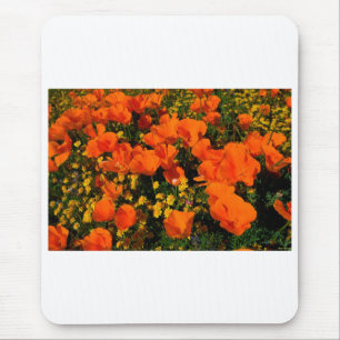 Kalifornien-Mohnblumen Mousepad