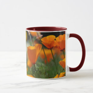 Kalifornien-Mohnblumen-Tasse Tasse