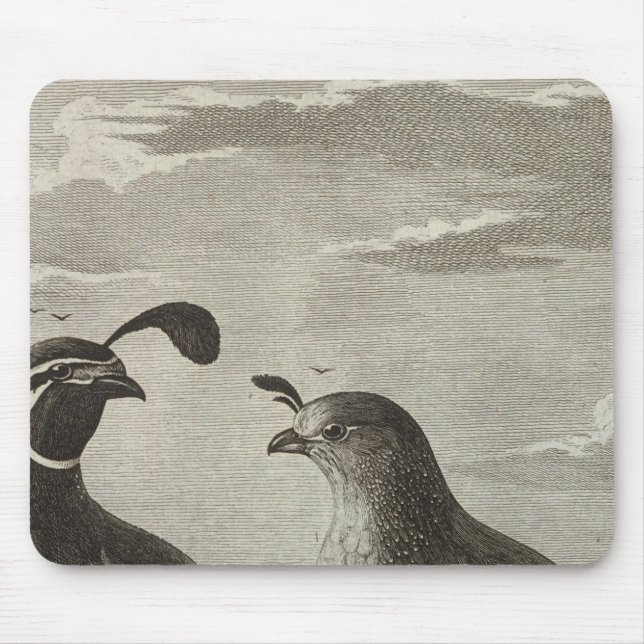 Kalifornien Mousepad (Vorne)