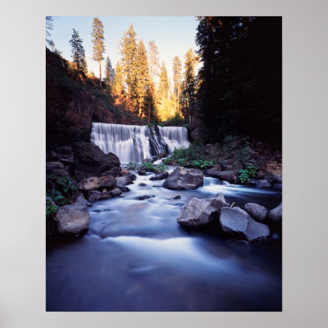Kalifornien, Nationalwald Shasta-Trinity Poster (Vorne)