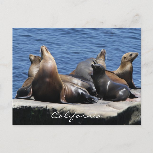 Kalifornien Postkarte (Vorderseite)