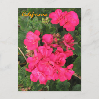 Kalifornien Postkarte