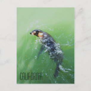 Kalifornien Postkarte