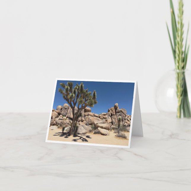 Kalifornien Postkarte 6 (Vorderseite)