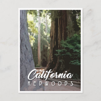 Kalifornien Redwoods Postkarte