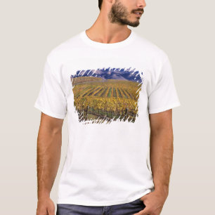 Kalifornien, San Luis Obispo County, Edna Valley T-Shirt