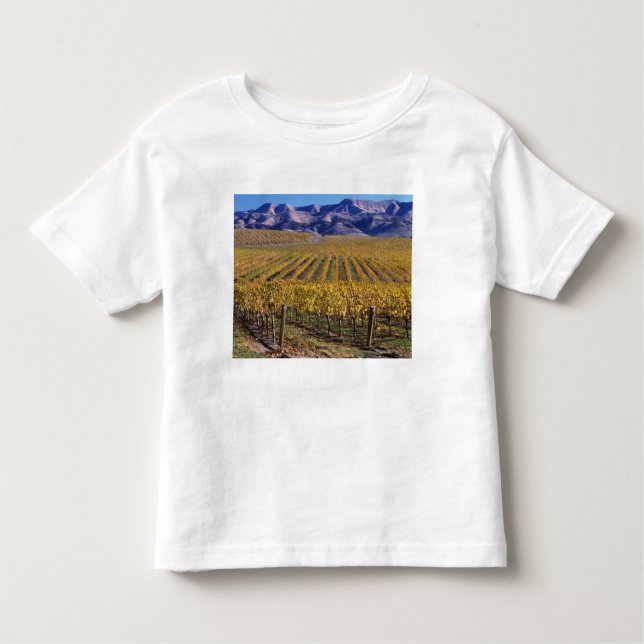 Kalifornien, San Luis Obispo Landkreis, Edna Tal Kleinkind T-shirt (Vorderseite)