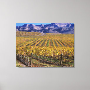 Kalifornien, San Luis Obispo Landkreis, Edna Tal Leinwanddruck