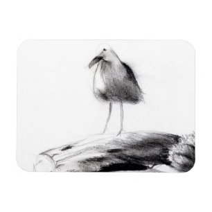 Kalifornien Seagull 2012 Magnet