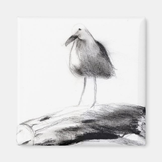 Kalifornien Seagull 2012 Magnet (Vorne)