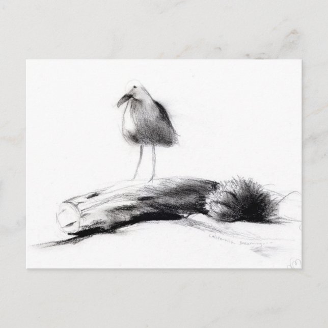 Kalifornien Seagull 2012 Postkarte (Vorderseite)