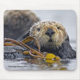 Kalifornien-Seeotter Mousepad
