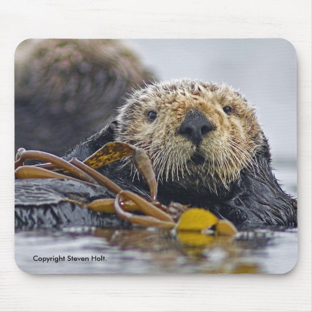 Kalifornien-Seeotter Mousepad (Vorne)