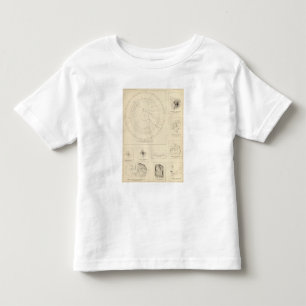 Kalifornien-Seismogramme 3 Kleinkind T-shirt