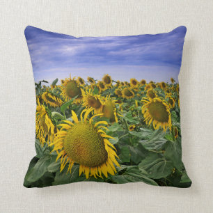Kalifornien-Sonnenblume-Felder Kissen