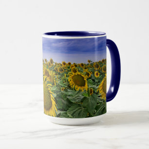 Kalifornien-Sonnenblume-Felder Tasse