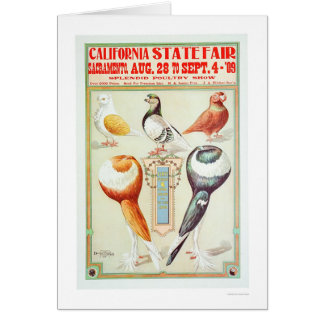 Kalifornien-Staat angemessenes 1909