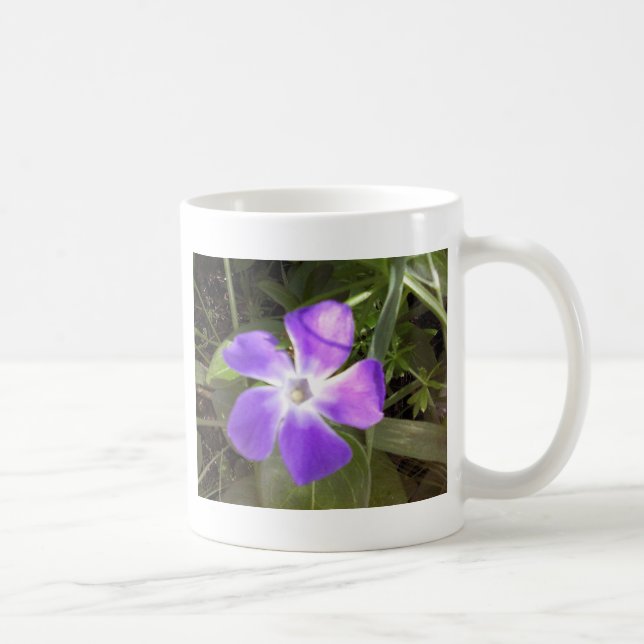 Kalifornien-Wildblume Kaffeetasse (Rechts)