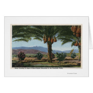 KalifornienDaten wachsen in Coachella