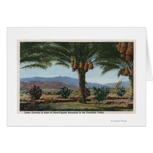 KalifornienDaten wachsen in Coachella (Vorderseite (Horizontal))