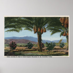 KalifornienDaten wachsen in Coachella Poster