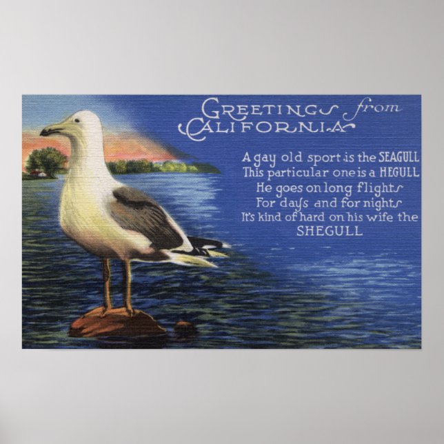 KalifornienGrüße von Seagull Gedicht Poster (Vorne)