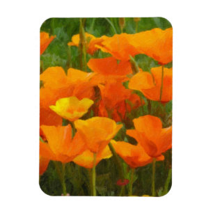 Kalifornienmohn Magnet