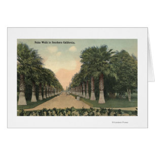 KalifornienPalmen entlang der Straße