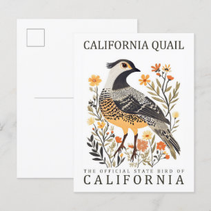 Kalifornienwachtel Vogel von Kalifornien USA Reise Postkarte