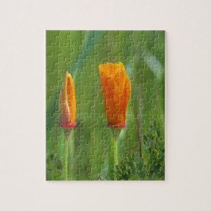 Kalifornische Goldmohn auf einem grünen Feld Puzzle