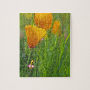 Kalifornische Goldmohnblumen auf einem grünen Feld Puzzle