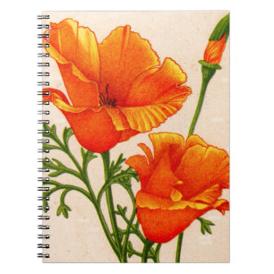 Kalifornische Mohn Kalifornien-Mohn in Orange Notizblock