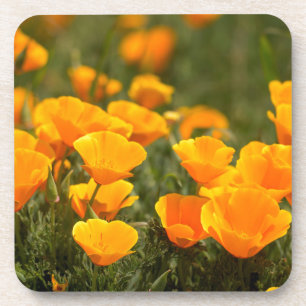 Kalifornische Mohnblumen, Montana de Oro State Par Getränkeuntersetzer