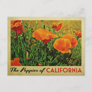 Kalifornische Mohnblumen Postkarte