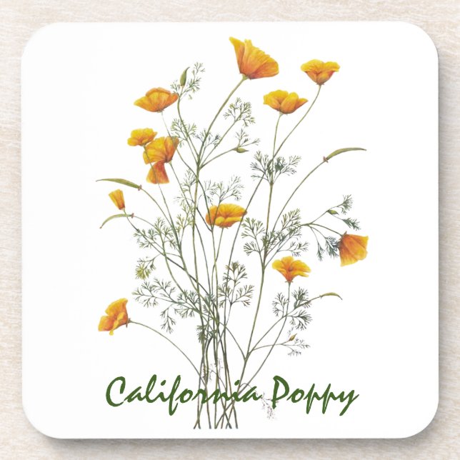 Kalifornische Mohnblütenfarbe in grün gelb Getränkeuntersetzer (Vorderseite)