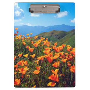 Kalifornische Pfeffer, die einen Hügel bedecken Klemmbrett