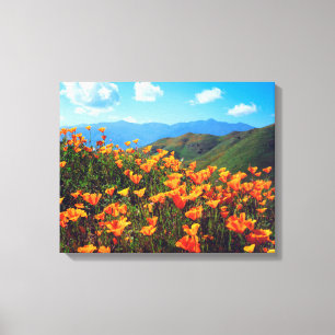 Kalifornische Pfeffer, die einen Hügel bedecken Leinwanddruck