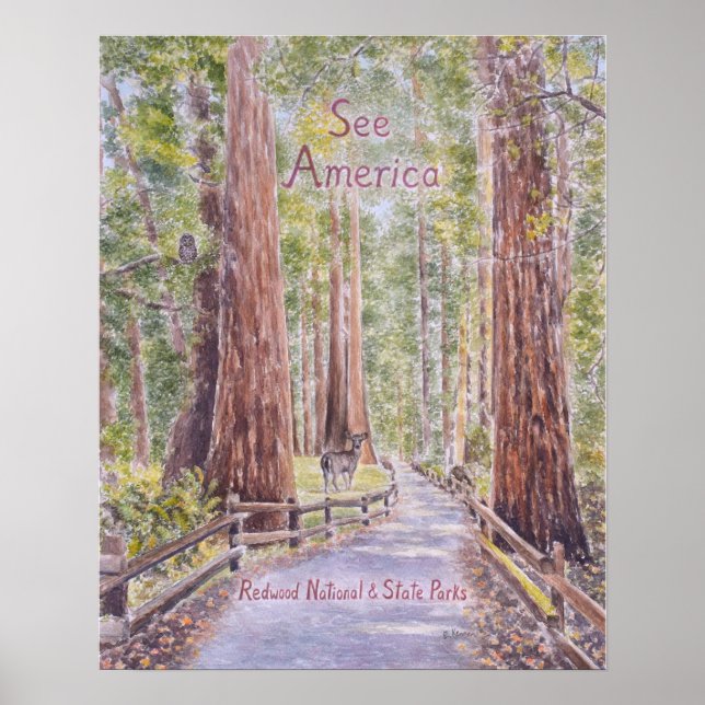Kalifornische Redwoods Poster (Vorne)