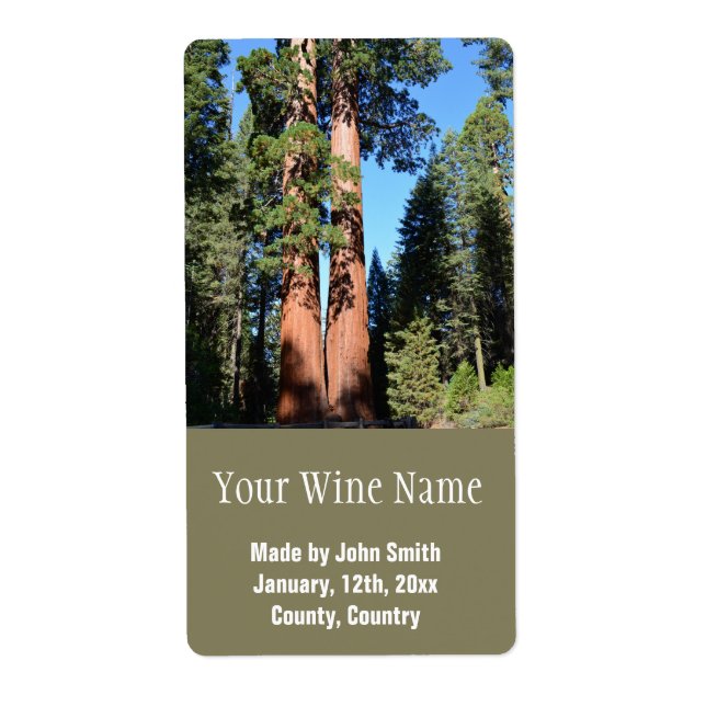 Kalifornische Riesenbäume. (Vorne)