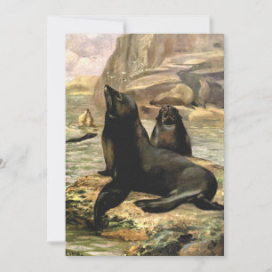 Kalifornische Seelöwen von CE Swan, Vintage-Tiere