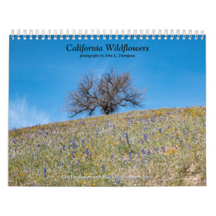 Kalifornische Wildblumen 2020 Kalender