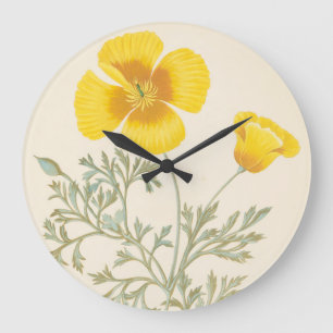 Kalifornischer Eschscholtzia Große Wanduhr