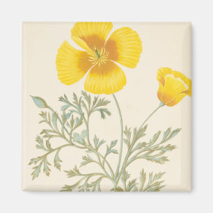 Kalifornischer Eschscholtzia Magnet