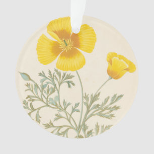 Kalifornischer Eschscholtzia Ornament