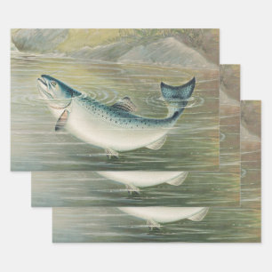 Kalifornischer Lachs von S.A. Kilbourne, Vintage F Geschenkpapier Set