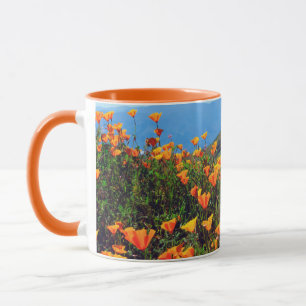 Kalifornischer Mohn bedeckt einen Hügel Tasse