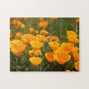 Kalifornischer Mohn, Montana de Oro State Park Puzzle