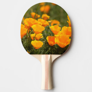 Kalifornischer Mohn, Montana de Oro State Park Tischtennis Schläger