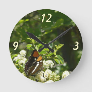 Kalifornischer Schwesterfalter in Yosemite Runde Wanduhr