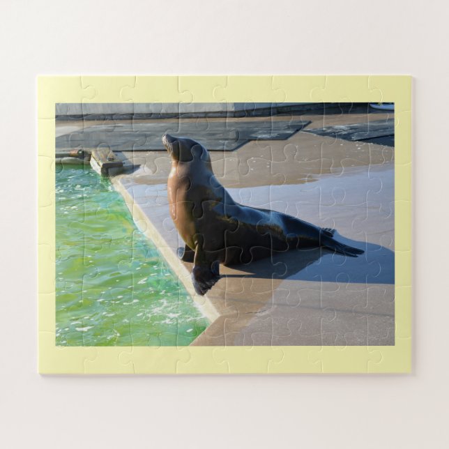 Kalifornischer Seelöwe Puzzle (Horizontal)